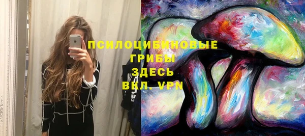 крисы Балабаново
