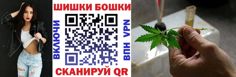 Бошки марихуана сатива  Георгиевск 